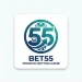 A square digital logo for a mobile application named "BET55" on a clean white background with rounded corners. The central emblem is a circular badge featuring a bold number "55" integrated with subtle casino imagery, including a roulette wheel border and betting chips, rendered in a dark blue to vibrant teal gradient. Below the circular emblem, the text "BET55" is written in a bold, dark blue sans-serif font, with the subtitle "PREMIUM BETTING GAME" written in smaller capital letters directly underneath.